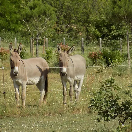 De La Coupiere Le Laurier *