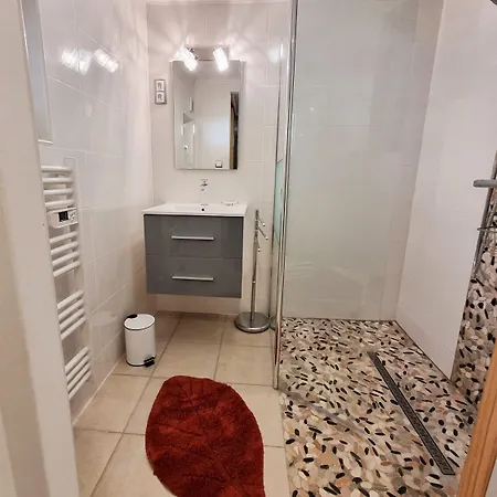 Apartment De La Coupiere Le Laurier *